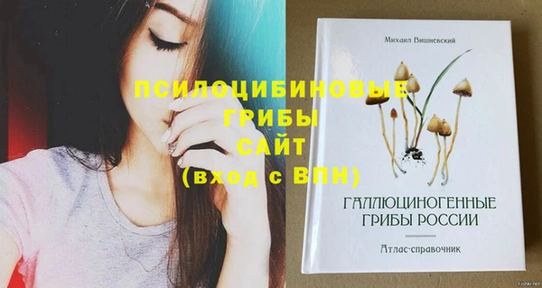 молекула духа Абдулино