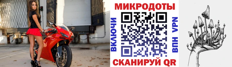 где купить наркотик  Фрязино  Галлюциногенные грибы Cubensis 